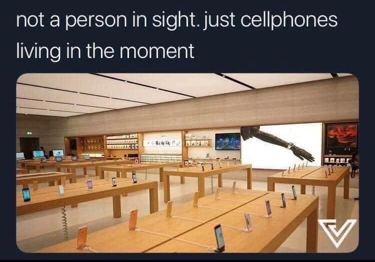 The meme is a photo of a nearly empty Apple Store, with only one person visible in the background. The text above the photo reads: "not a person in sight. just cellphones living in the moment". The image is humorous because it implies that the store is so empty that the cellphones are the only ones experiencing the moment, implying that they are more engaged with their surroundings than the humans in the store.