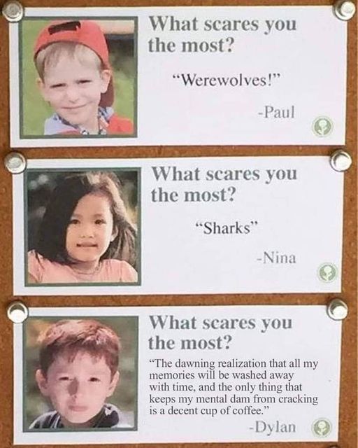 The meme is a collection of humorous "scare questions" on a bulletin board. The questions are "What scares you the most?" and the responses are humorous and unexpected. The responses include "Werewolves!", "Sharks", and "The dawning realization that all my memories will be washed away with time".