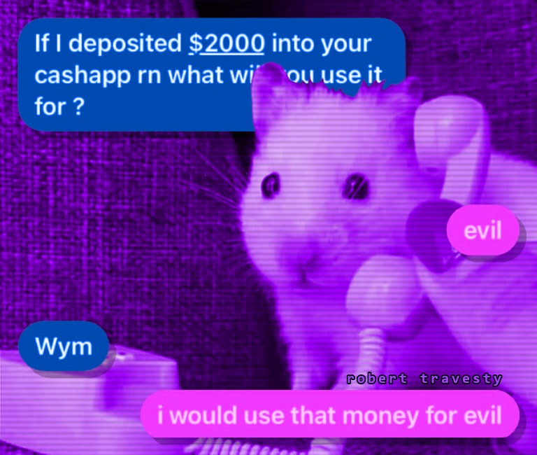 This meme is an image of a white hamster with a surprised expression. The text above the hamster reads: "If I deposited $2000 into your Cash App, what would you do with it?" The hamster's response is "I would use it to fund evil plans" and is attributed to the user "Wym".