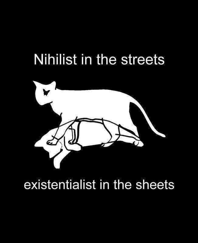 This meme features a simple, hand-drawn image of a cat with its body broken into multiple pieces, resembling a puzzle or a broken object. The text above the image reads "Nihilist in the streets" and below it reads "Existentialist in the sheets". The meme is a humorous take on the idea that someone may be philosophical and pessimistic in public (nihilist), but more sensitive and emotional in private (existentialist).
