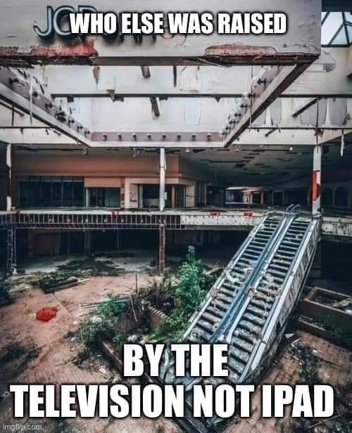 This meme is a humorous commentary on the contrast between the upbringing of people from different generations. The image shows a dilapidated, abandoned building, with the text "Raised by the TV, taught by the radio, and now I'm living in the movies" and "Raised by the iPad, taught by the iPhone, and now I'm living in the TikTok".