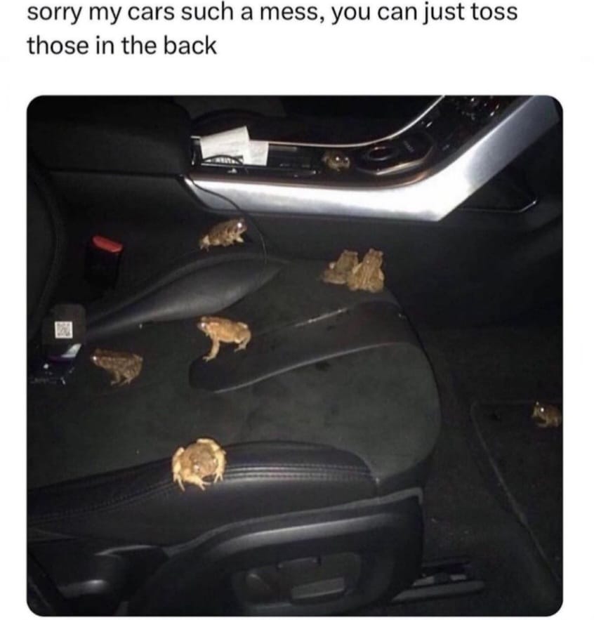 This meme is a humorous image of a car's interior with multiple frogs scattered on the seats and floor. The text above the image reads: "Sorry my cars a mess, you can just toss them in the back." The meme is likely meant to be ironic or sarcastic, implying that the speaker is not taking responsibility for the mess and is instead suggesting that the person who is cleaning up the mess can simply move the frogs to the back of the car.