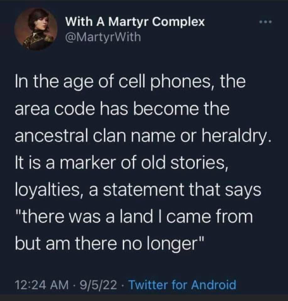 This meme is a humorous commentary on the evolution of language and how it reflects the changing times. The text reads: "In the age of cell phones, the area code has become the ancestral clan name or heraldry. It is a marker of old stories, loyalties, a statement that says 'there was a land I came from but I am no longer there'".