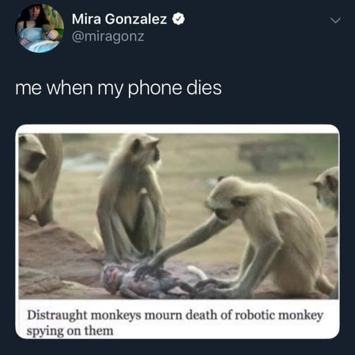 The meme is a humorous response to a situation where someone's phone has died. The image is a photo of a group of monkeys mourning the death of a robotic monkey, with the text "I died" written above it. The caption below the image reads "Died" in a similar tone to the original text.