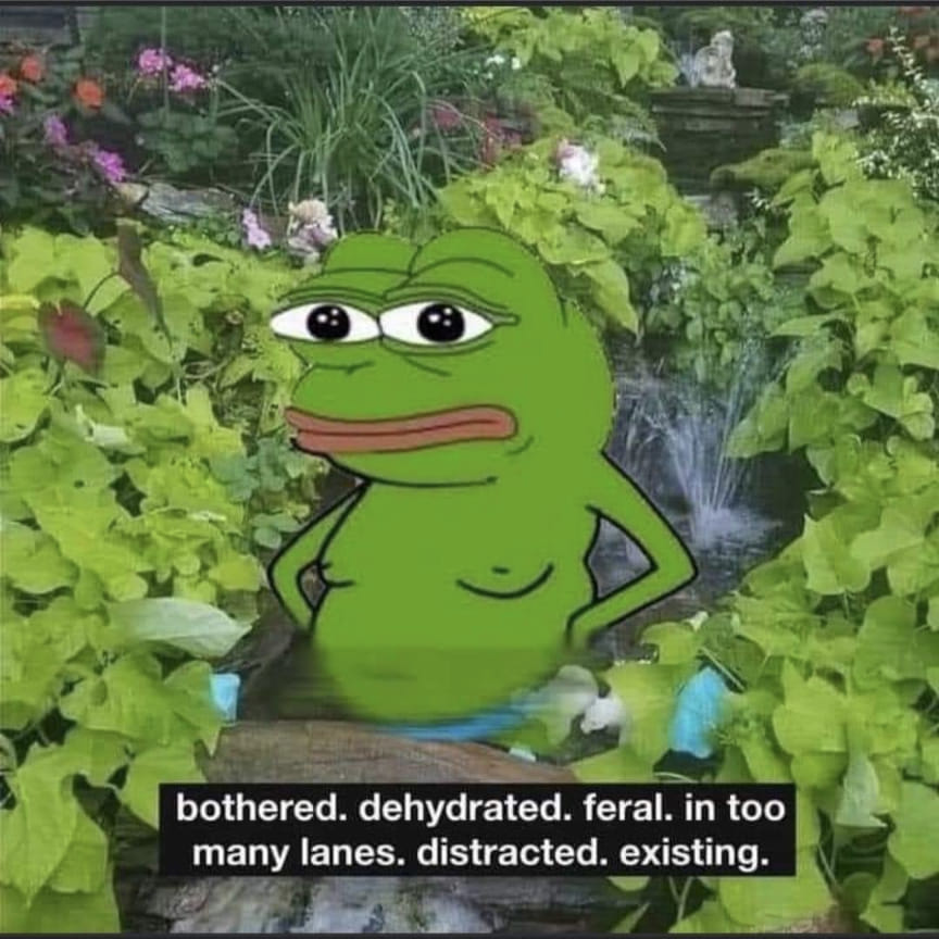 This meme features a cartoon frog character, Pepe, looking frustrated and annoyed. The text overlay says "bothered. dehydrated. feral. in too many lanes. distracted. existing." The image is likely a humorous take on feeling overwhelmed and struggling to cope with daily life.