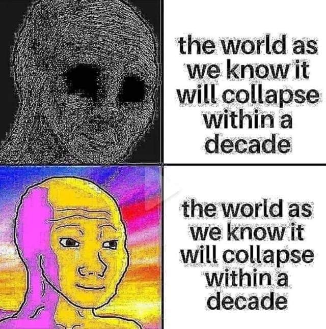 This meme is a humorous commentary on the fleeting nature of human existence and the inevitability of death. The image is a split-screen comparison, with a "before" image of a person with a calm and optimistic expression, followed by a "after" image of the same person with a shocked and disheveled expression. The text reads: "When you realize you're going to die" and "The world as we know it will collapse in the next decade".