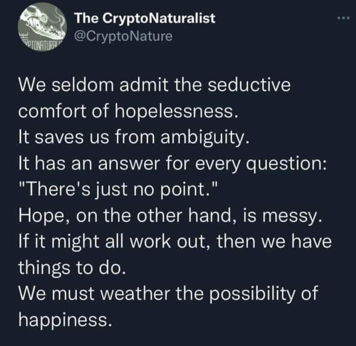 This meme is a humorous response to the concept of hopelessness, acknowledging that it's a difficult emotional state to overcome. The text reads: "We seldom admit the seductive comfort of hopelessness. It saves us from ambiguity. It has an answer for every question: 'There's just no point.' Hope, on the other hand, is messy. If it works out, we have things to do. We must weather the possibility of happiness." The tone is sarcastic and tongue-in-cheek, poking fun at the idea that hopelessness is a comfortable and appealing state, and that hope is messy and complicated.
