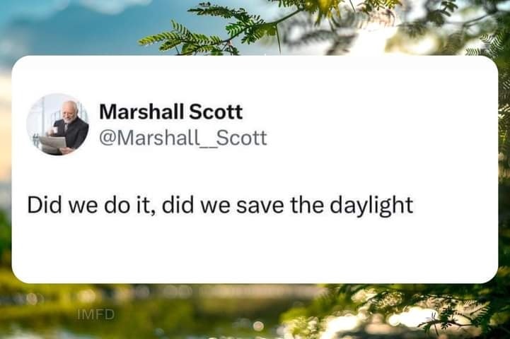 This meme is a humorous commentary on the concept of "springing forward" and the tradition of setting clocks forward by one hour in the spring. The text in the image reads: "Did we do it, did we save the daylight?" The joke is that the phrase "save the daylight" is a common phrase used to describe the tradition of setting clocks forward, but the speaker is being sarcastic and implying that they didn't actually save any daylight by doing so.