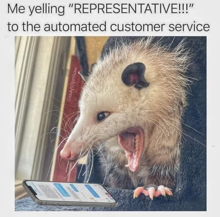 This meme features a picture of a frustrated opossum, with its mouth open in a scream, holding a phone. The text above the image reads, "Me yelling 'REPRESENTATIVE!' to the automated customer service". The meme is a humorous representation of the frustration people often experience when dealing with automated customer service systems.