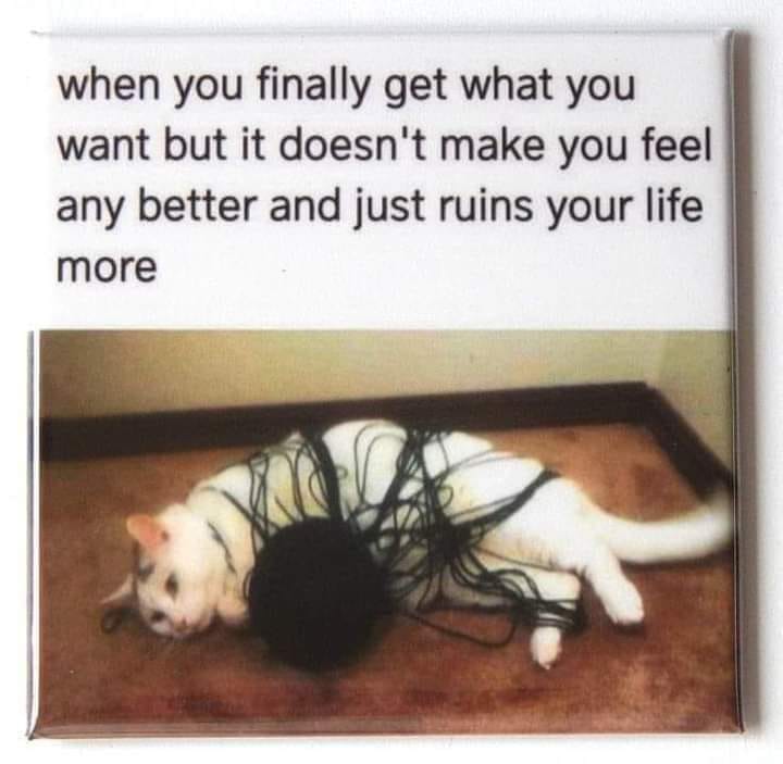 This meme features a photo of a cat tangled in a ball of black yarn, looking frazzled and distressed. The text above the image reads: "when you finally get what you want, but it doesn't make you feel any better and just ruins your life more."
