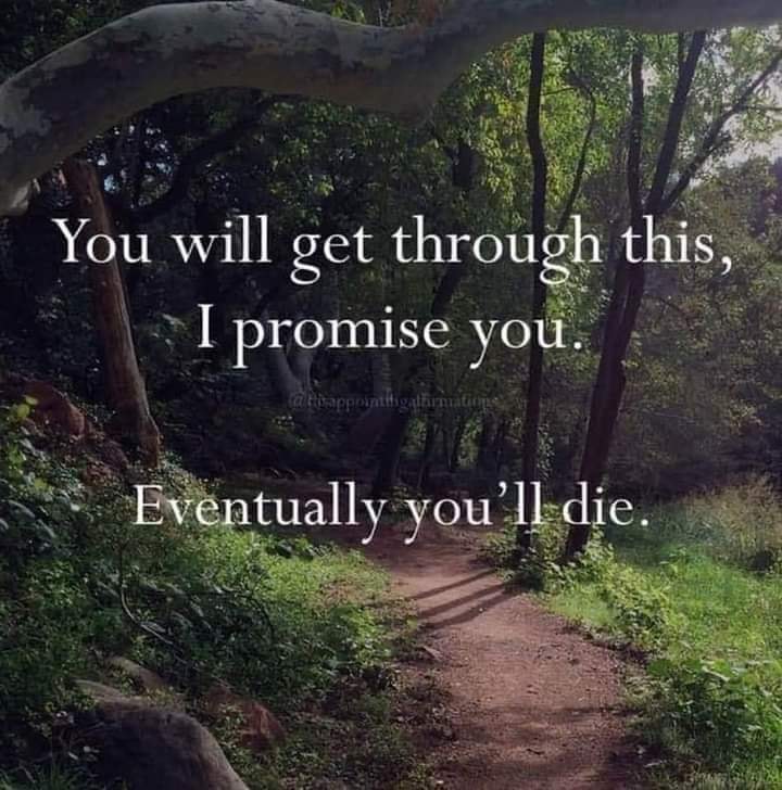 This meme is a darkly humorous image of a forest path with a tree branch overhead. The text reads: "You will get through this, I promise you. Eventually you'll die." The text is presented in a calm, reassuring tone, but the second sentence is a stark and morbid reality check that subverts the initial promise.