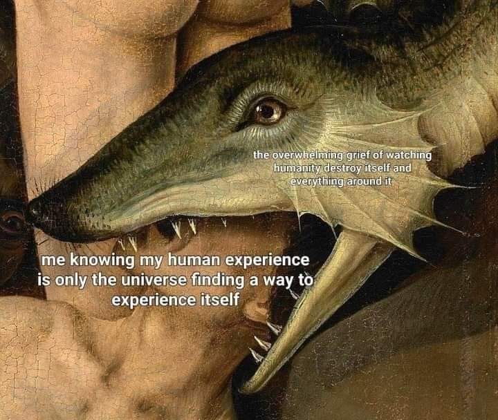 This meme is a humorous commentary on the human experience. The image features a person screaming, with the text "the overwhelming grief of watching humanity destroy itself and everything around it" overlaid on their face. The text is juxtaposed with a more philosophical statement: "I know my existence is only a momentary flicker in the universe's vast expanse."