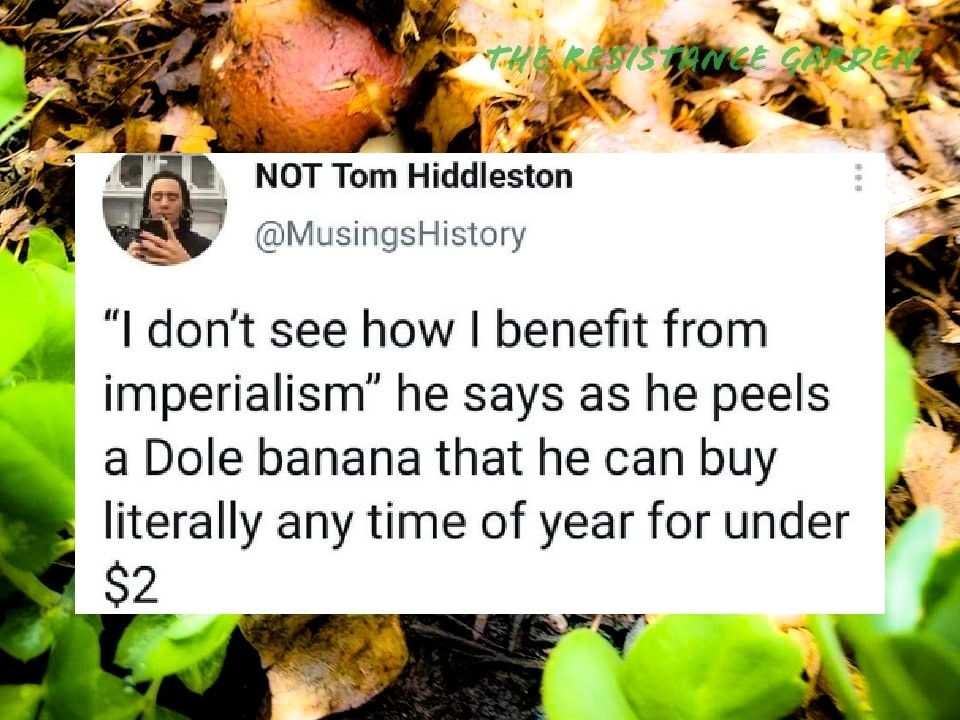 This meme is a humorous commentary on the benefits of imperialism, which is a topic often associated with negative connotations. The text in the image reads: "I don't see how I benefit from imperialism... I can buy a banana for $0.26, and I can eat it for $0.26, and I am making $26." The meme is likely referencing the idea that imperialism can provide economic benefits, but in a sarcastic and ironic way.