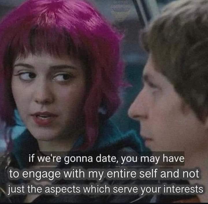 The meme is a humorous take on the idea that some people's interests are so niche that they need to be with someone who shares them in order to have a fulfilling relationship. The image is likely a screenshot from a movie or TV show, but the text overlay says: "If we're gonna date, you have to be willing to engage with my entire self, not just the aspects that serve your interests."