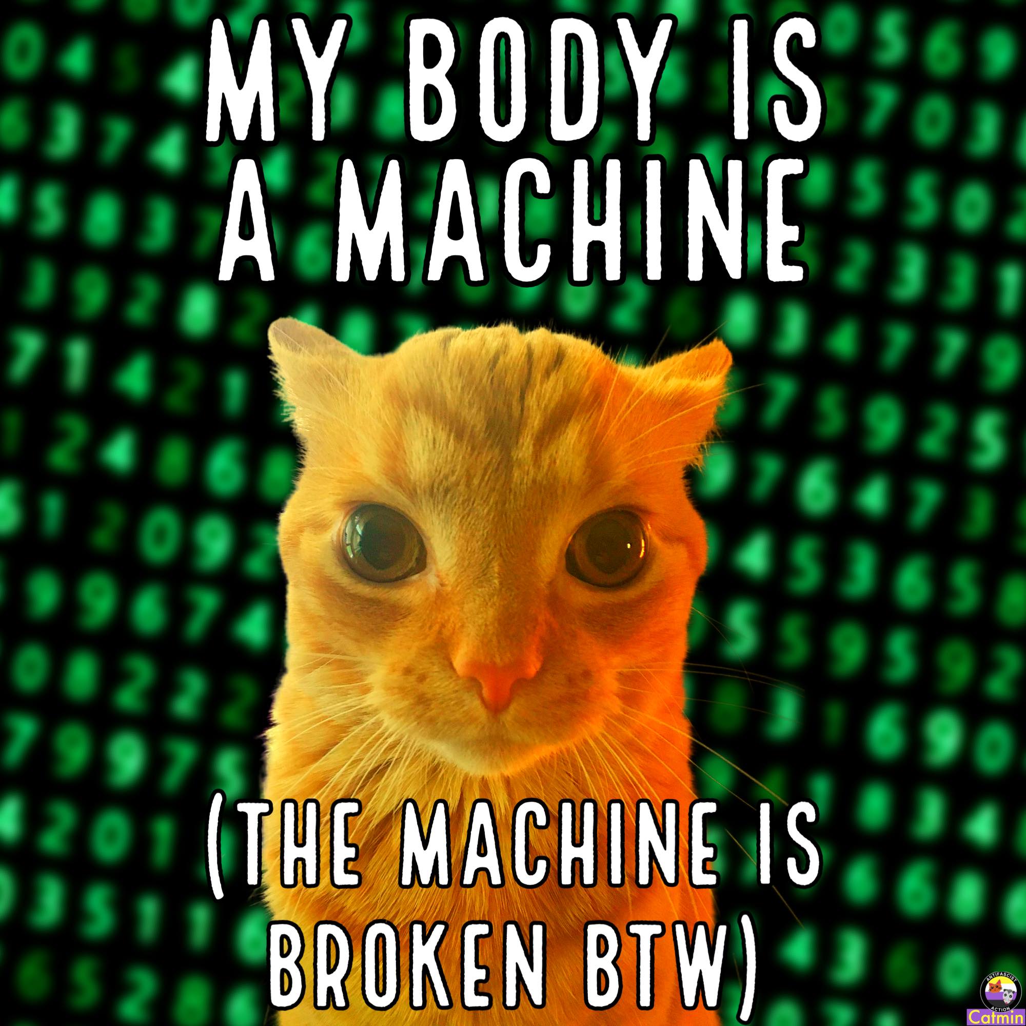 The meme is a humorous image featuring a cartoon cat with a robotic and glitchy appearance, with a caption that pokes fun at the idea of being a machine. The text "My body is a machine" is written above the cat, while "The machine is broken btw" is written below. The meme is likely intended to be humorous and relatable, poking fun at the idea of being a machine and the frustrations that come with it.