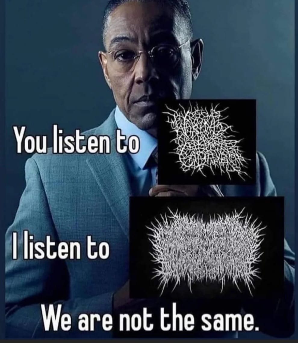 This meme is a humorous comparison between two types of music that are often associated with different styles or subcultures. The text "You listen to" is followed by "I listen to", but the second phrase is intentionally misspelled as "I listen to" is replaced with a song title that sounds similar but is actually a death metal band, implying that the person's music preferences are extreme and not typical.