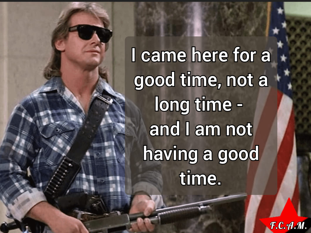 This meme features a screenshot from the 1987 sci-fi action film "Predator" starring Arnold Schwarzenegger. In the image, Schwarzenegger's character, a commando, is shown standing in front of a flag, holding a gun. The text overlayed on the image reads: "I came here for a good time, not a long time - and I am not having a good time."