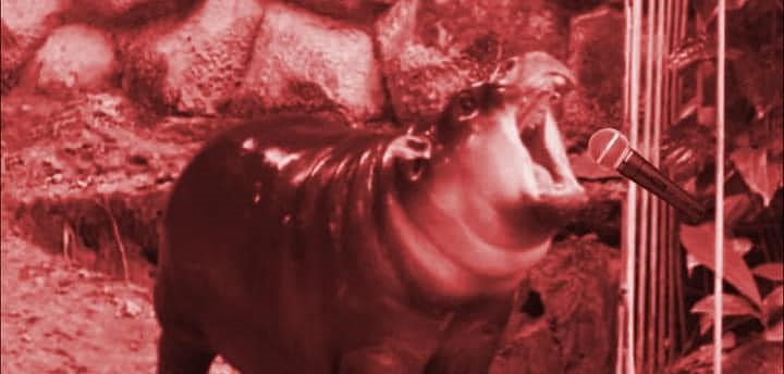 The meme features a picture of a cartoon or animated hippopotamus with a shocked or surprised expression. The image is captioned "When you finally get to the end of the book you've been reading for 3 years".