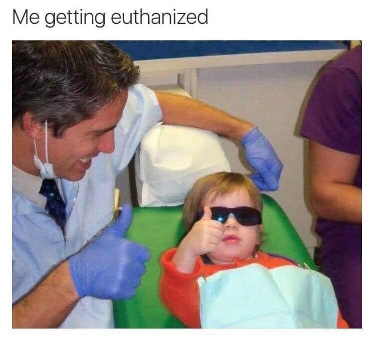 This meme is a humorous image of a young child in a dentist's chair, wearing sunglasses and giving a thumbs-up. The text at the top of the image reads "Me getting euthanized". The meme is likely meant to be ironic or absurd, suggesting that the person is so relaxed and comfortable in the dentist's chair that they feel like they're being put to sleep, or "euthanized", which is a medical term for ending a life.