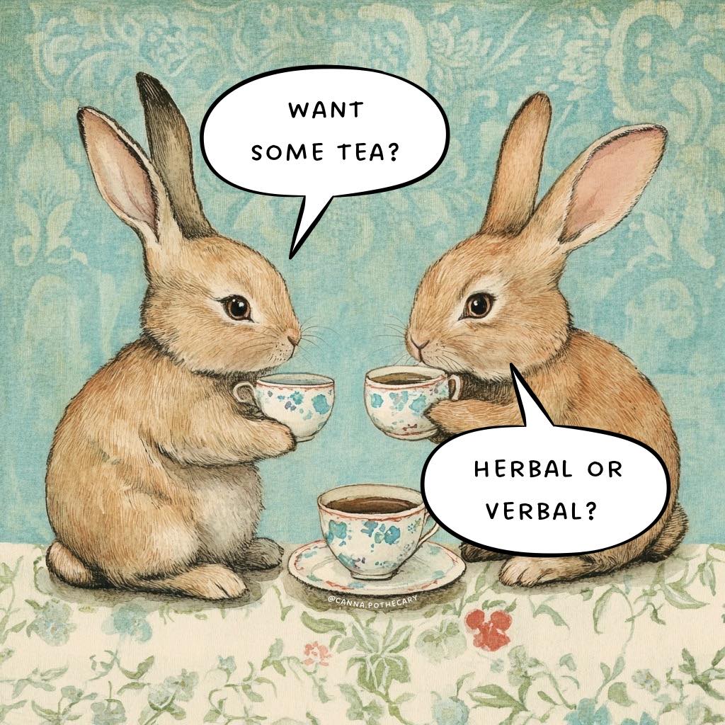 This meme is a play on the classic "Alice's Adventures in Wonderland" character, the Mad Hatter, who is known for his eccentric and confusing conversations. In the image, two rabbits are sitting at a table with tea cups, with one rabbit asking "Want some tea?" and the other responding with "Herbal or verbal?" which is a clever play on words, referencing the idea of herbal tea versus a verbal conversation.