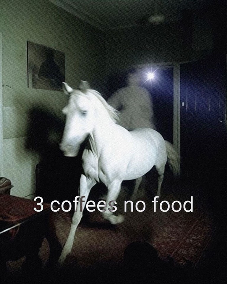 This meme is a darkly humorous image of a horse in a dimly lit room, with a faintly visible person in the background. The text "3 coffees no food" is overlaid on the image, implying that the person in the background is a "nightmare fuel" creature that's only fueled by coffee, with no desire for food. The image is a playful, absurd take on the idea of a creature that's only sustained by caffeine.