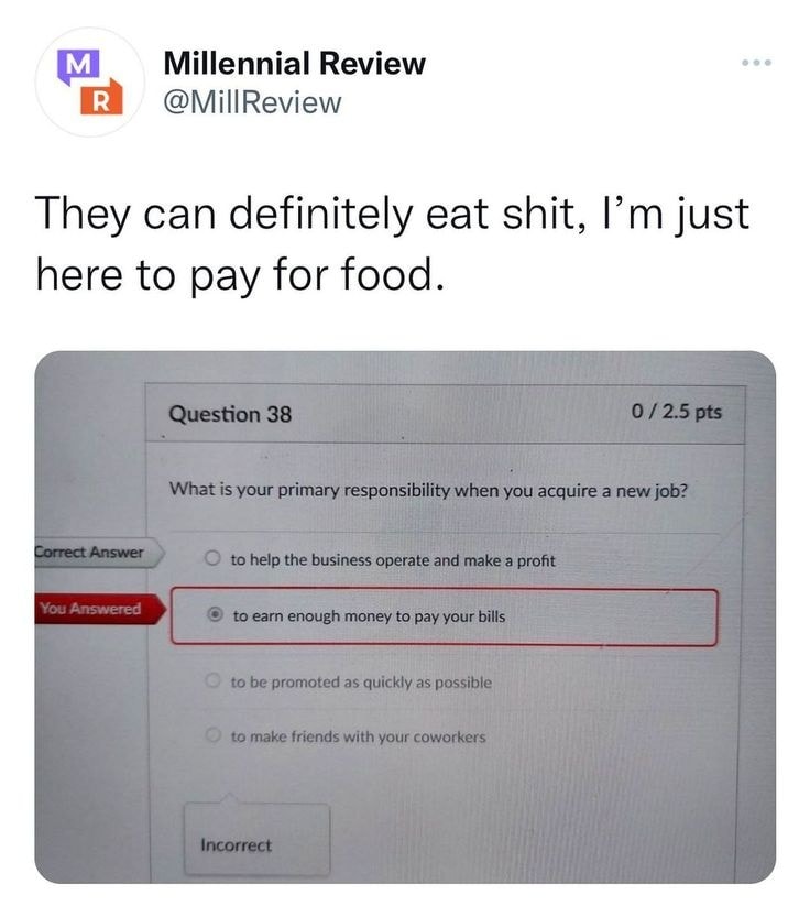 The meme is a screenshot of a multiple-choice question on a computer or online test. The question asks about the primary responsibility when acquiring a new job, and the correct answer is "to earn enough money to pay your bills". The meme is captioned with a sarcastic and humorous comment: "They can definitely eat shit, I'm just here to pay for food."