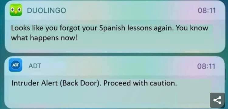 The meme is a screenshot of a notification from a language learning app called Duolingo. The notification is from a user who has forgotten their Spanish lessons and is being warned by the app that an intruder has accessed their account. The text in the notification reads: "Looks like you forgot your Spanish lessons again. What happens now?"