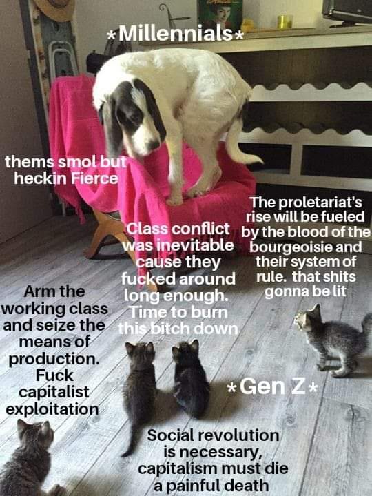 The meme is a humorous illustration of a dog sitting on a couch, surrounded by four cats. The text in the image is a satirical commentary on the differences in attitudes and values between Millennials, Gen Z, and older generations, using a humorous and exaggerated tone. The text is presented in a way that is meant to be humorous and ironic, poking fun at the stereotypes and cliches associated with each generation.