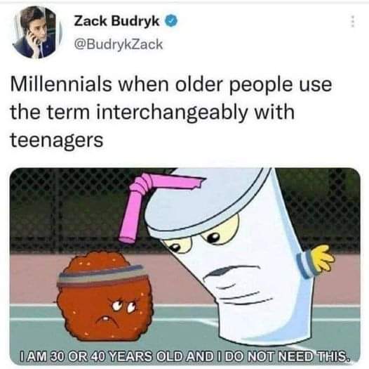 This meme is a humorous commentary on the struggles of communicating with younger generations. It features a screenshot from the animated TV show "Futurama" with the character "Bender" saying "I am 30 or 40 years old and I do not need this." The meme is captioned "Millennials when older people use the term 'interchangeably with teenagers'". The joke is that the character is expressing frustration at being referred to as a "millennial", a term that is often associated with people born in the 1990s and early 2000s.