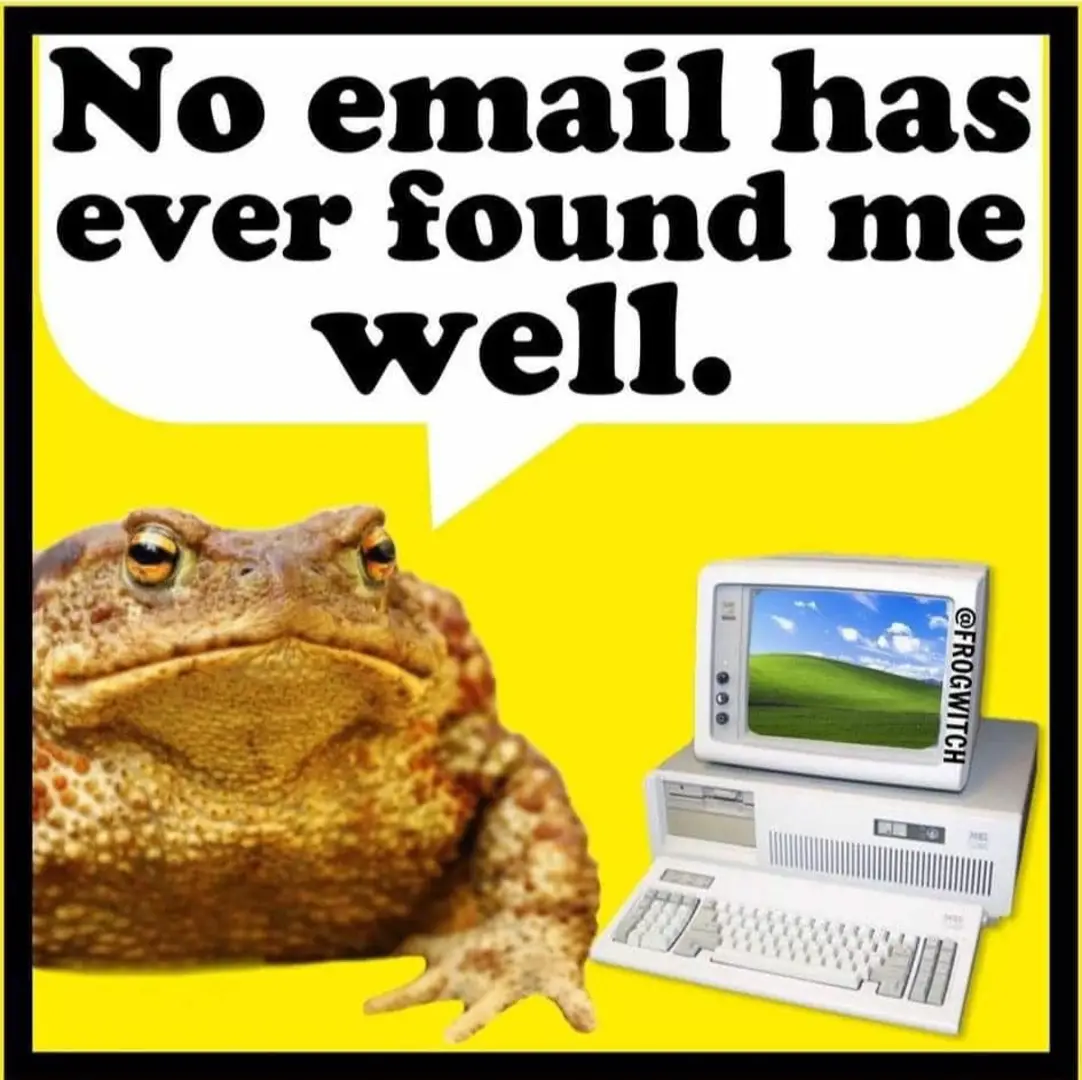 This meme is a humorous take on the concept of email. It features a cartoonish image of a frog sitting in front of a computer, with a speech bubble saying "No email has ever found me well." The text is a play on the common phrase "no email has ever found me well" but replaces "me" with "well" to create a clever pun. The image is likely meant to be humorous and lighthearted, poking fun at the idea of email and its impact on our lives.