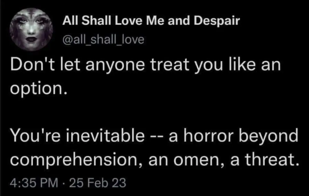 This meme is a humorous take on the phrase "don't let anyone treat you like an option." It's a darkly comedic commentary on the idea that people can be treated like something that's not even worth considering. The text reads: "Don't let anyone treat you like an option. You're not a choice, you're a necessity."