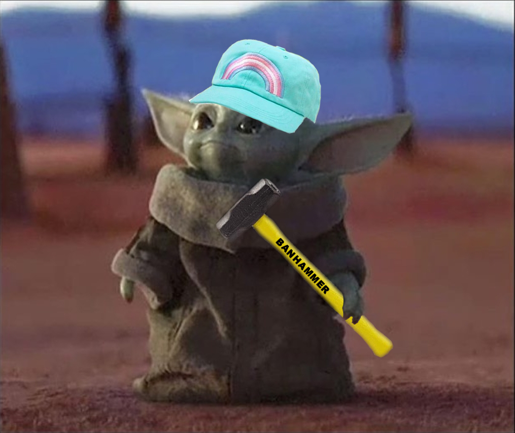 The meme features a photo of the "Baby Yoda" character from the TV show "The Mandalorian," but with a few key modifications. The character is wearing a baseball cap and holding a sledgehammer, and the text "I am Baby Yoda, and I am a sledgehammer" is written on the sledgehammer. The image is a humorous take on the character's usual calm and collected demeanor, but with a more aggressive and confrontational tone.