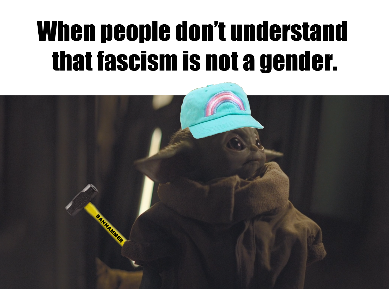 The meme is an image of Baby Yoda from the Star Wars franchise, wearing a hat with a rainbow design and holding a sign with the words "When people don't understand that fascism is not a gender". The image is humorous because it takes a serious topic (fascism) and applies it to a ridiculous context (Baby Yoda's fashion sense). The meme is likely meant to poke fun at the idea that some people might not understand the concept of fascism, and that it's not something that can be applied to a person's identity or gender.
