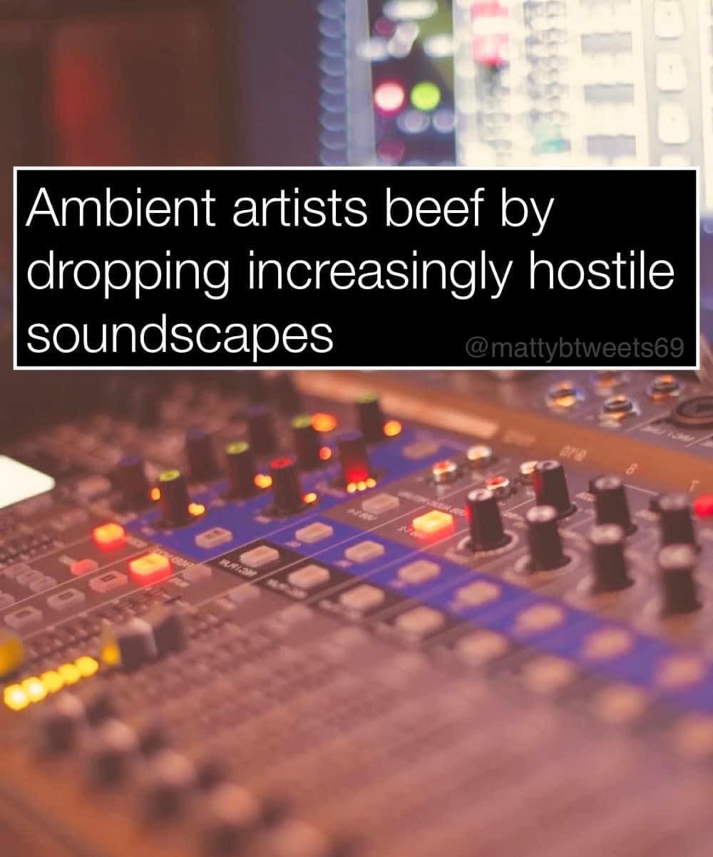 The meme is a humorous commentary on the frustration of dealing with aggressive or annoying artists. The text "Ambient artists beef by dropping increasingly hostile soundscapes" is a tongue-in-cheek observation on the irony of artists who are known for their calming and peaceful music, yet are still capable of creating aggressive and hostile soundscapes.
