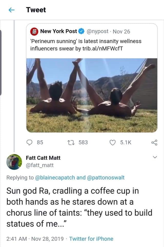 The meme is a screenshot of a tweet from the New York Post's Twitter account, featuring a photo of two people lying on their backs in a field, arms raised in a sunbathing pose. The caption reads: "Perineum sunning is the latest wellness trend that's got everyone talking." The tweet is accompanied by a comment from a user named @fatt_matt, who responds with a humorous and sarcastic comment about the trend.