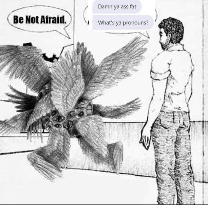 This meme features a drawing of a monster with multiple eyes and wings, addressing a human who is standing in front of it. The monster says "Be not afraid" in a biblical-style quote, but then quickly changes its tone to a more sarcastic and profane phrase. The human responds with a question about pronouns, implying that the monster's statement is not taken seriously.