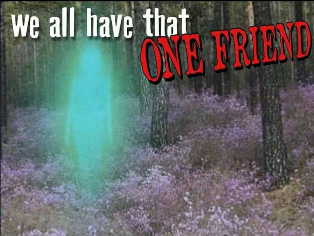 This meme is a humorous image of a dark forest with a glowing, green, alien-like figure in the center. The text "We all have that one friend" is written above the figure, but it's replaced with "We all have that one friend... who is actually an alien" in a more ominous tone.