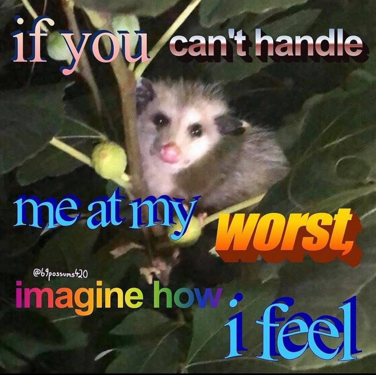 This meme features a picture of a cartoonish, wide-eyed opossum with a shocked expression. The text overlay reads "if you can't handle me at my worst, then you must be terrible for me at my best" in a playful, cursive font. The image is a humorous take on the idea that someone's worst behavior can be a reflection of their true personality.