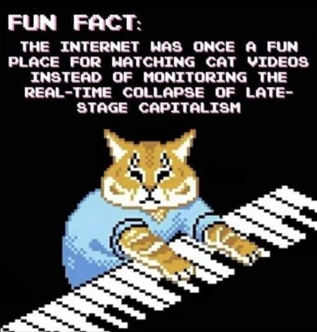The meme is an image of a cat sitting at a desk, looking at a computer screen with a concerned expression. The text above the cat reads "The internet was once a fun place for watching cat videos...". The meme is a humorous commentary on how the internet has changed over time, with the implication that it's now a place for watching cat videos, but also a place for monitoring the collapse of late-stage capitalism.