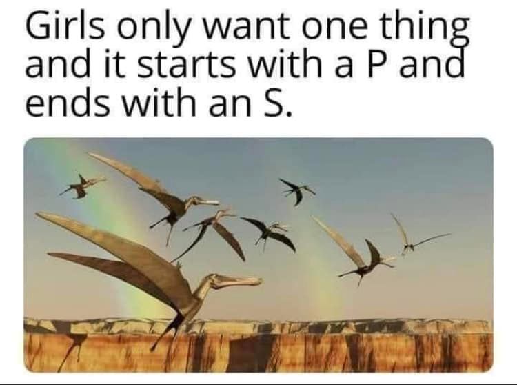 The meme is a humorous take on a popular song lyric. The image features a picture of a group of dinosaurs, including a T-Rex, flying over a cliff. The text reads "Girls only want one thing and it starts with a P and ends with an S... and that's a lie, everything I do says P-R-O..."