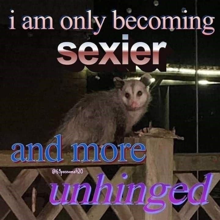 This meme features a picture of a raccoon, but it's actually a joke about a possum. The text "I am only becoming sexier and more unhinged" is overlaid on the image, with the word "sexier" crossed out and replaced with "sexier" spelled backwards, and "unhinged" also spelled backwards.