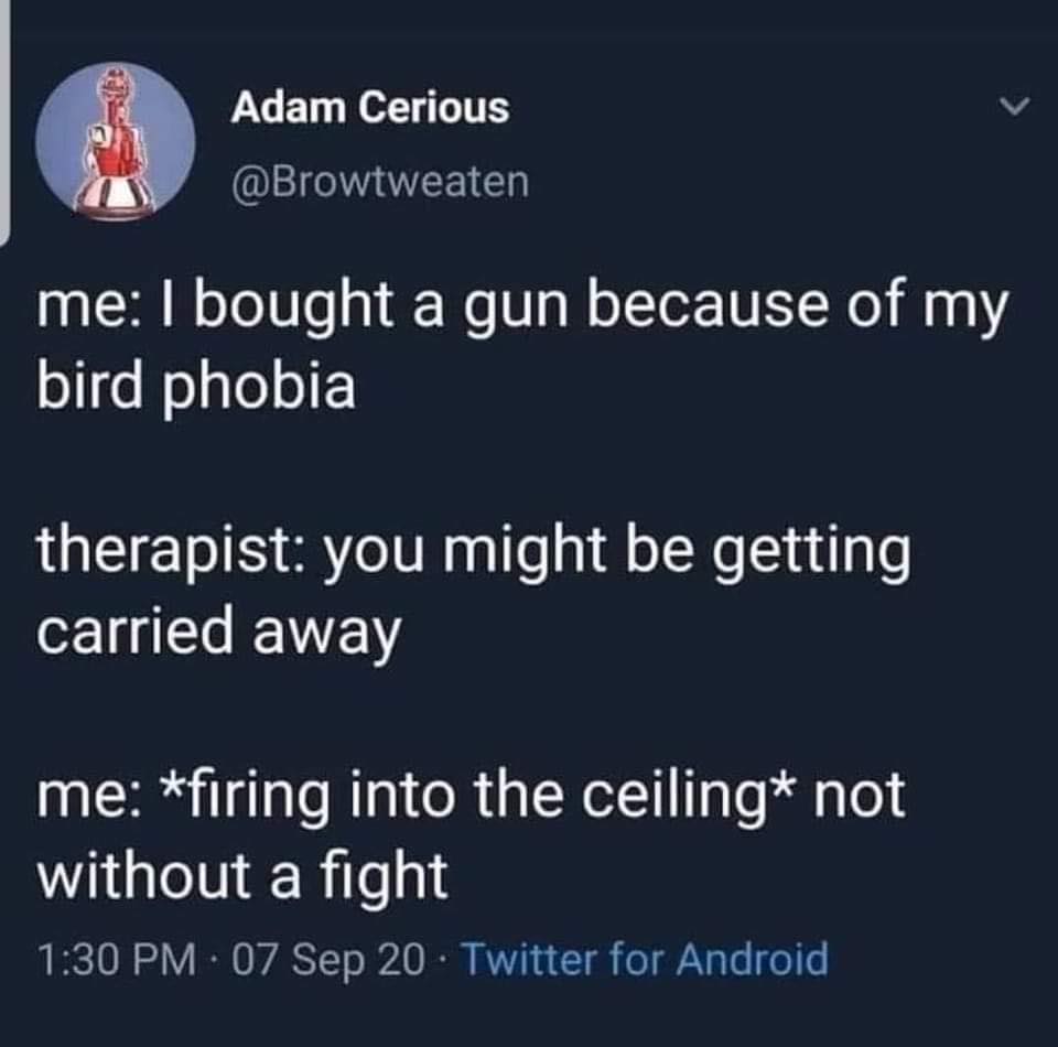 This meme is a humorous exchange between a person and a therapist. The person reveals that they bought a gun because of their bird phobia, which is a surprising and ironic reason for purchasing a firearm. The therapist responds with a humorous and unexpected suggestion that the person might be getting ready to leave, implying that the person's bird phobia is causing them to prepare for a hypothetical fight.