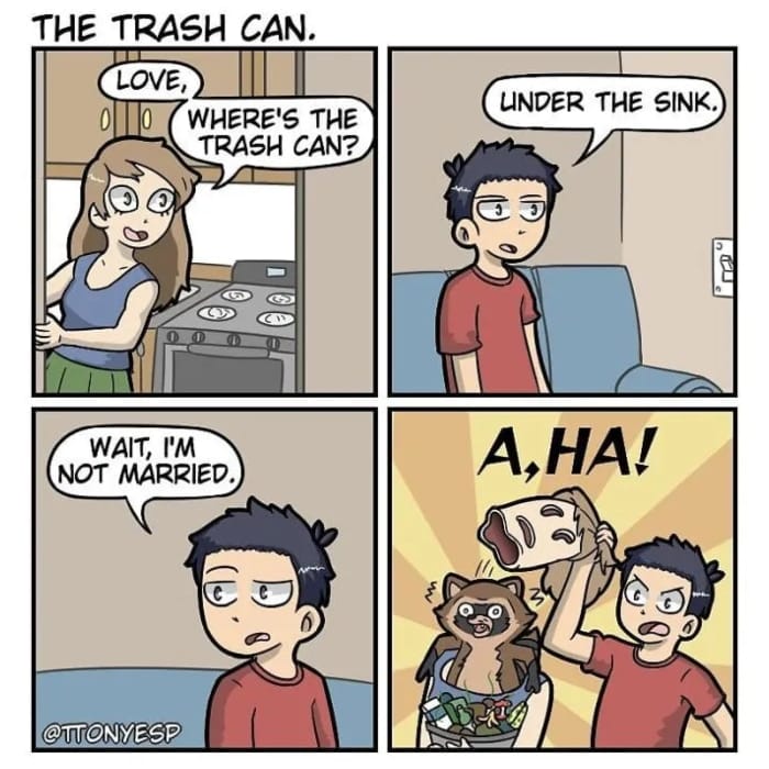 This meme is a humorous take on the common phrase "there's no place like home" from the classic movie "The Wizard of Oz". The meme shows a person who is supposed to say "there's no place like home" but instead says "there's no place like the kitchen" and then gets attacked by a raccoon that was hiding under the sink. The text "there's no place like the kitchen" is a play on words, as the phrase is typically said in a different context, and the person's mistake is then punished by a raccoon.