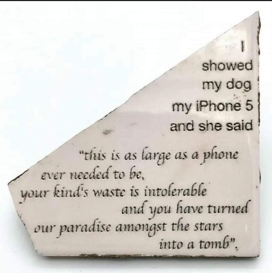This meme is a screenshot of a text conversation between two people. The first person says "I showed my dog my iPhone 5 and she said" and then quotes a sarcastic and humorous response from the dog, implying that the dog is a sarcastic and witty animal. The quote says "this is as large as a phone ever needed to be, your kind's waste is intolerable and you've turned our paradise amongst the stars into a tomb".