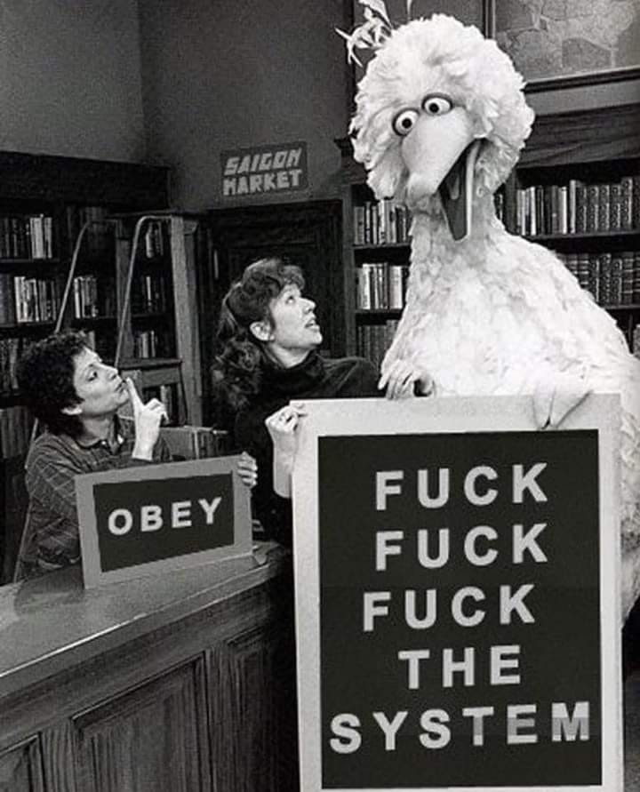 The meme is an image of Big Bird from Sesame Street, standing on a soapbox with a loudspeaker, addressing a crowd. The text on the sign in front of him reads "FUCK THE SYSTEM", a phrase that's often used to express frustration or dissent. The image is likely a humorous take on the idea of a child's character being used to promote a provocative message.