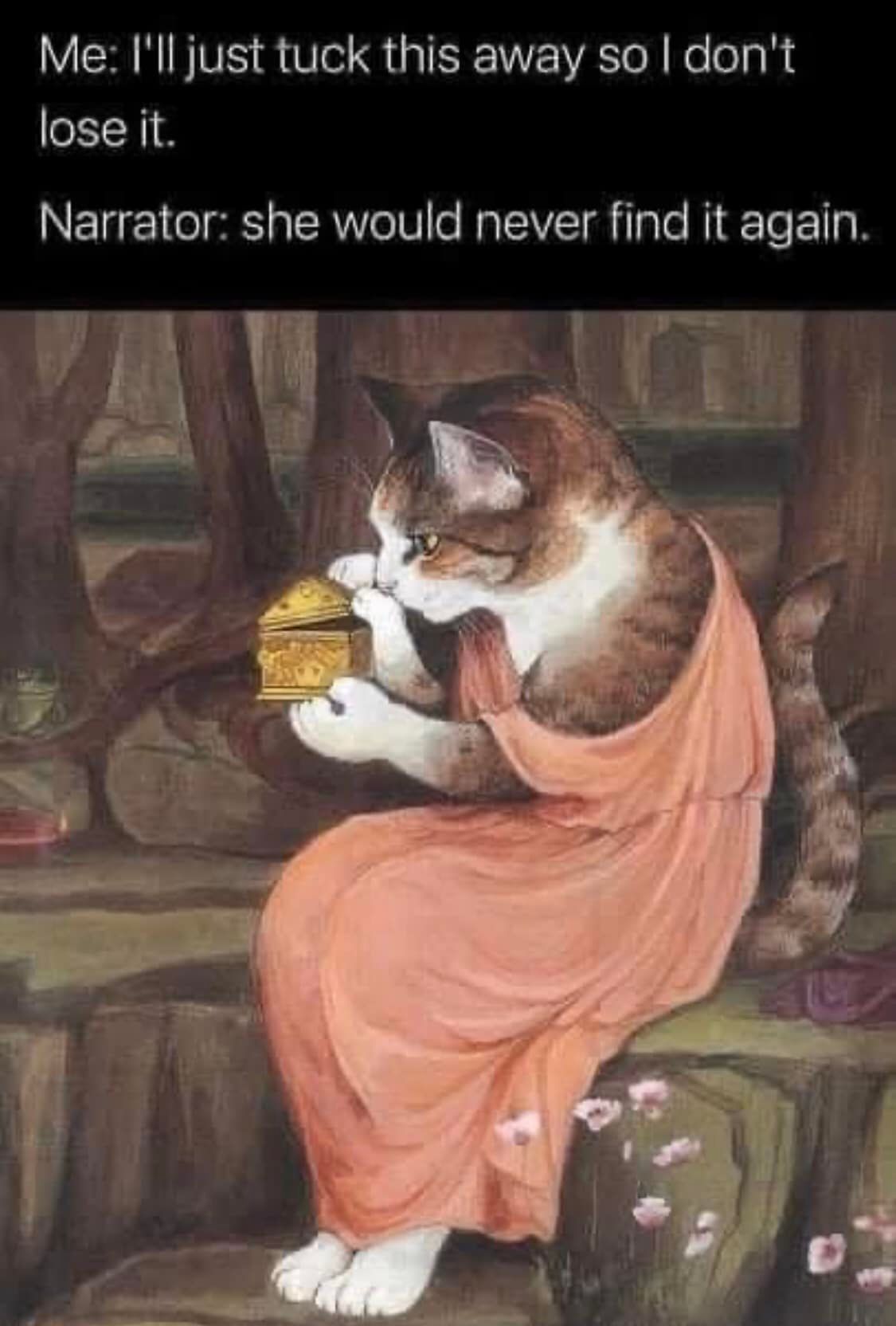 This meme features a cartoon image of a cat in a toga, holding a small box and looking concerned. The text above the image reads: "Me: I'll just put this away so I don't lose it. Narrator: she would never find it again." The meme is a humorous take on the idea that someone is trying to avoid losing something, but ultimately, it's going to end up lost anyway.