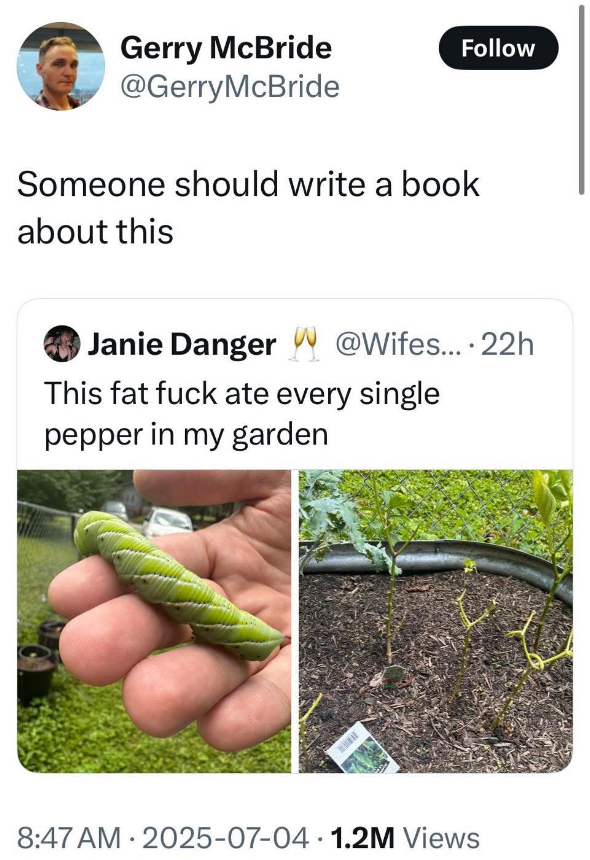 The meme is a humorous example of Neo-Dadaism, a movement that rejects traditional aesthetic and cultural values. It features a tweet from @Janie_Danger, which reads "This fat f**k ate every single pepper in my garden...