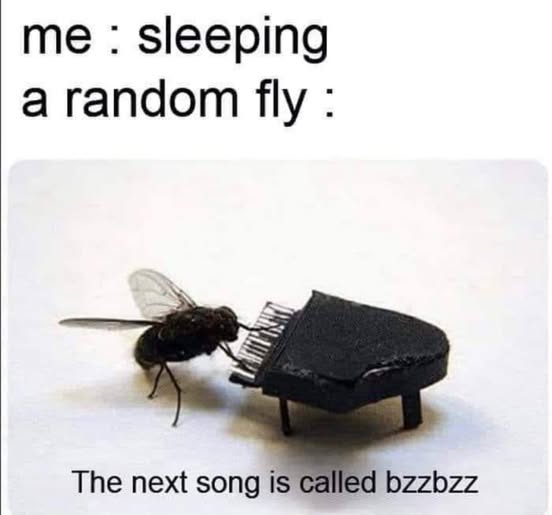 532236286_1111968987756769_5761484521584933066_n