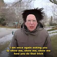 This meme is an image of a man with a shocked expression, with his hair standing on end. The text at the top of the image reads "I am once again asking you to show me, show me, show me how you do that trick" in a bold, yellow font. The image is likely a screenshot from a TV show or movie, but the specific source is not specified.