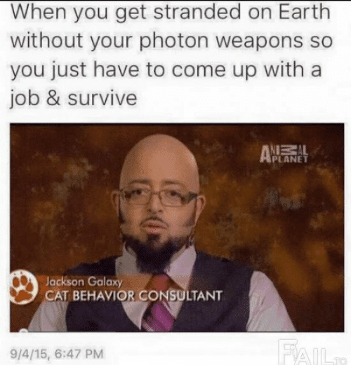 This meme is a screenshot of a TV show host, likely from a comedy or entertainment program, with a humorous quote overlaid on top. The text reads: "When you get stranded on Earth without your photon weapons, so you just have to come up with a job and survive."
